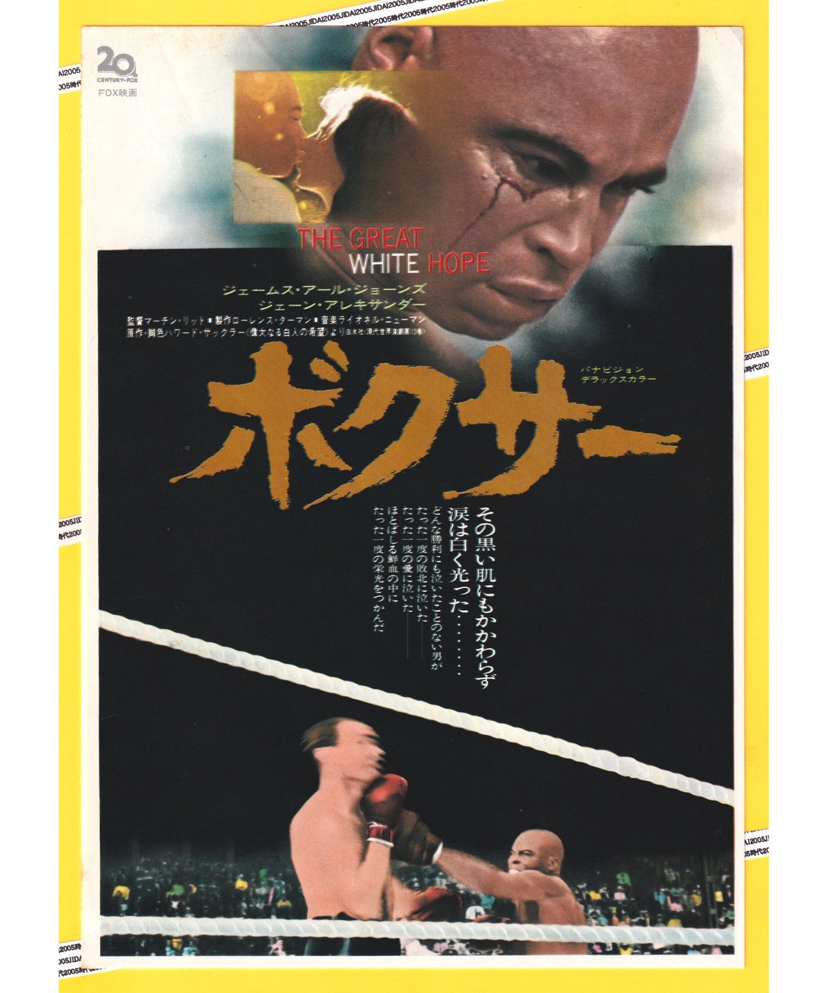 ボクシング BOXING チラシ フライヤー/ロペス×リン ボクシング BOXING チラシ フライヤー/ロペス×リン