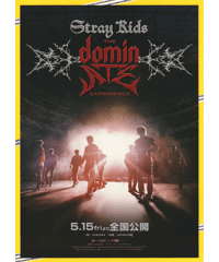 Stray Kids　The dominATE Experience