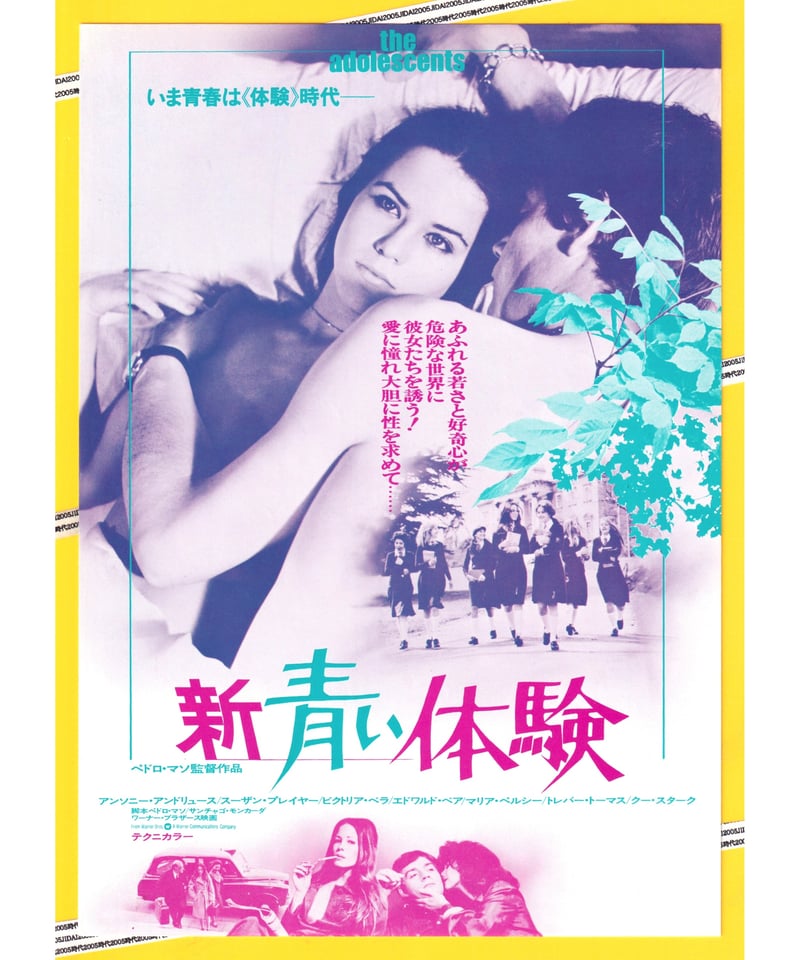 新 青い体験 | 映画チラシ・フライヤー・パンフレット販売 大辞典