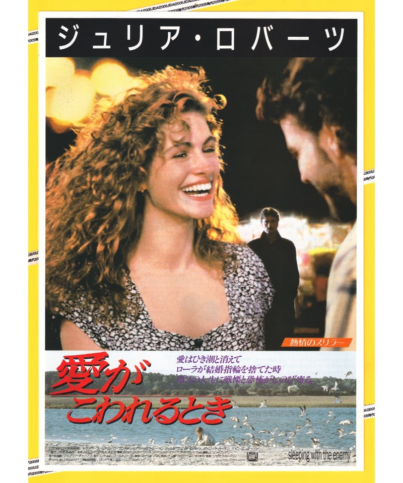 館名入り映画パンフレット 『愛がこわれるとき』（日劇プラザ） 館名