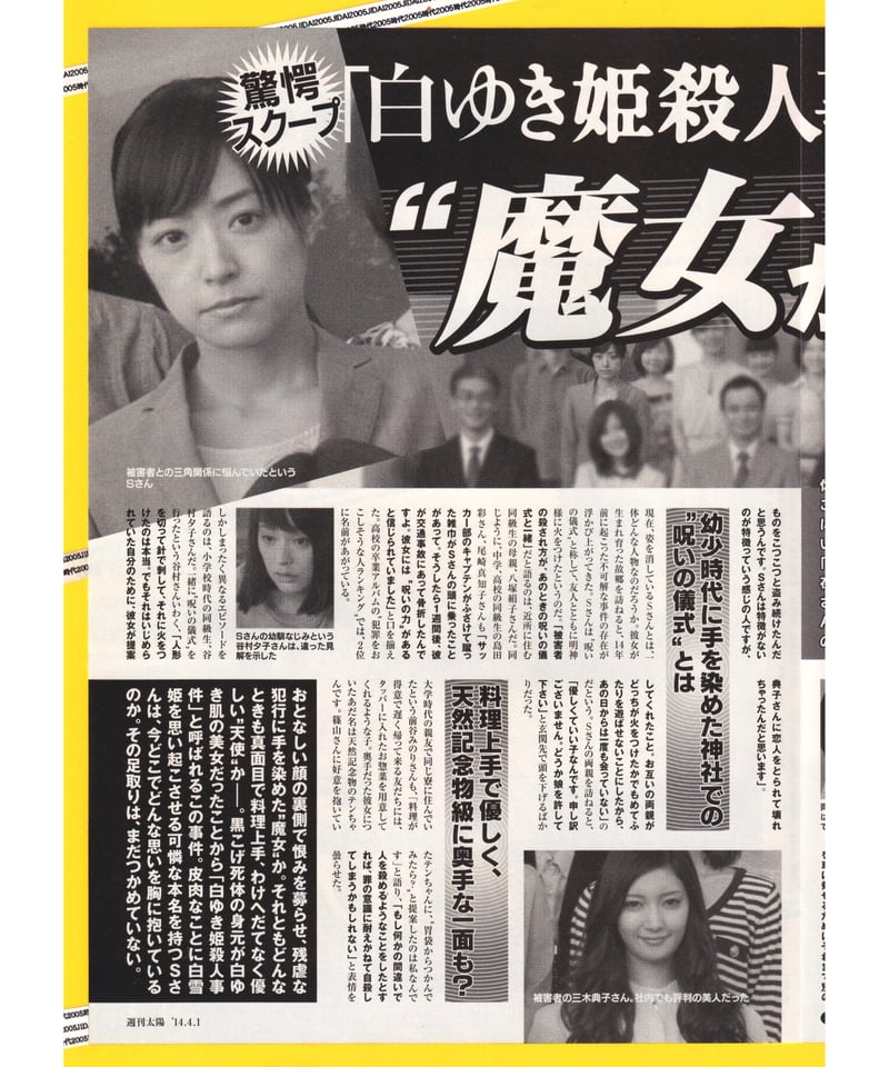 ③白ゆき姫殺人事件 | 映画チラシ・フライヤー・パンフレット販売 大辞典