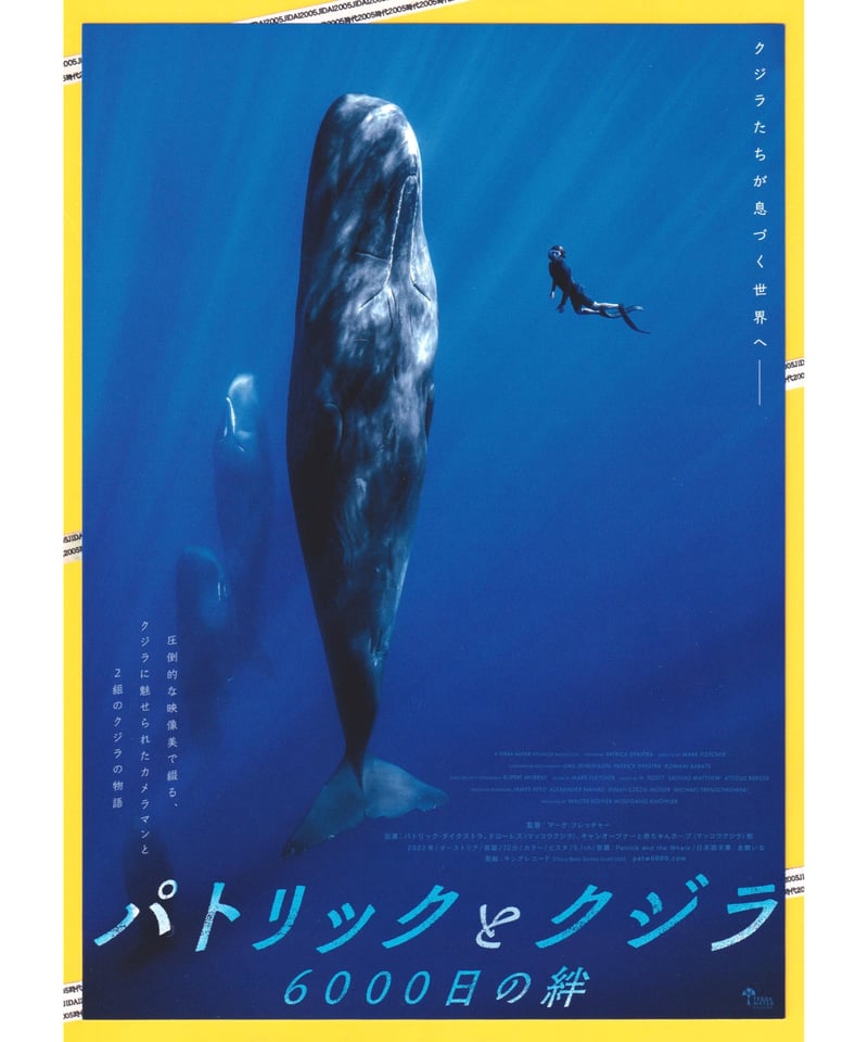 パトリックとクジラ 6000日の絆 | 映画チラシ・フライヤー