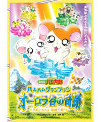 とっとこハム太郎　ハムハムグランプリン　オーロラ谷の奇跡　リボンちゃん危機一髪！　劇場版