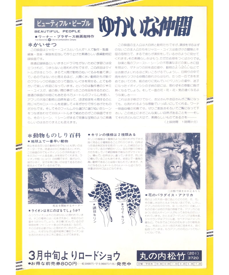 ビューティフル・ピープル ゆかいな仲間 | 映画チラシ・フライヤー