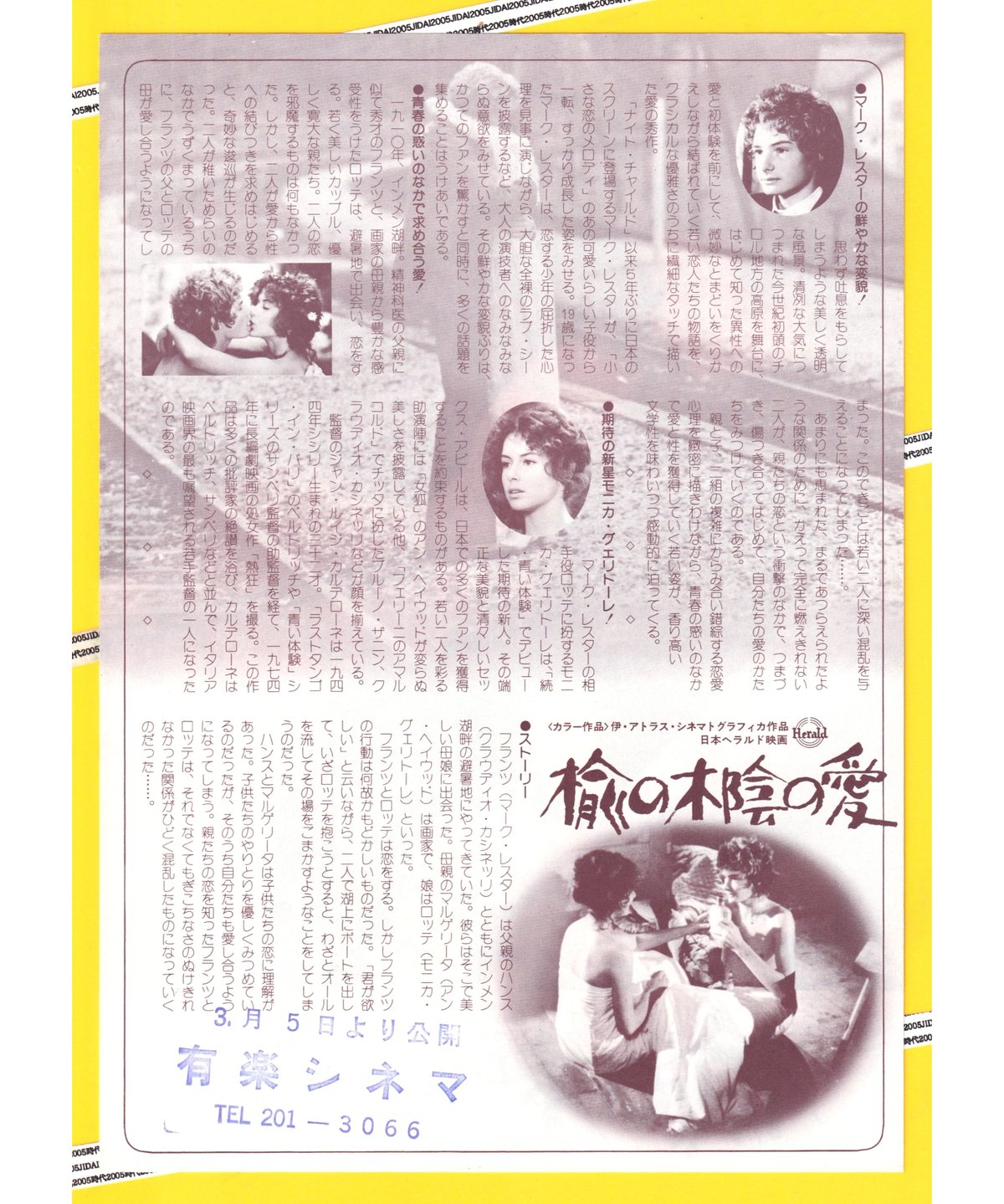 ①楡の木陰の愛 | 映画チラシ・フライヤー・パンフレット販売 大辞典