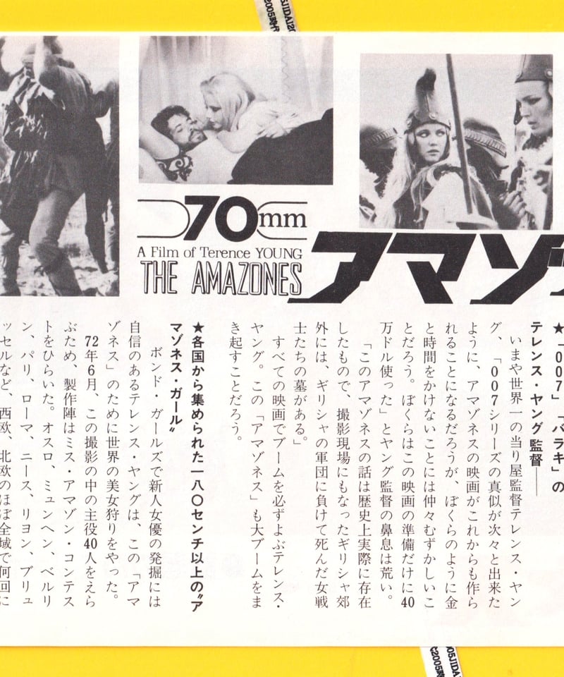 ①アマゾネス | 映画チラシ・フライヤー・パンフレット販売 大辞典