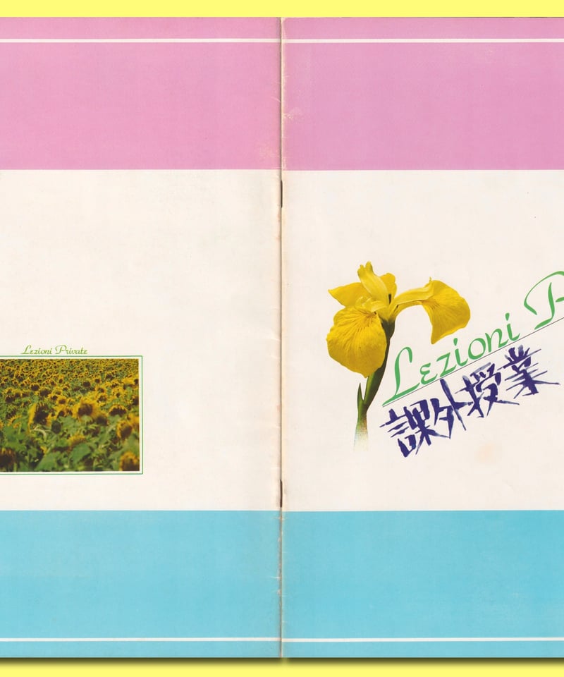！（アイオー）　VHS、パンフレット、チラシ 1990 Kawasaki ZX Ninja 6-page brochure-literature ZX750-H2