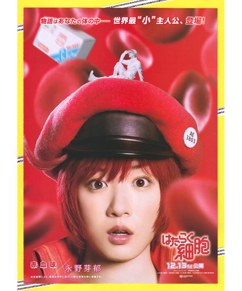 はたらく細胞 1期 DVD 全巻付属 ブックレット パンフレット