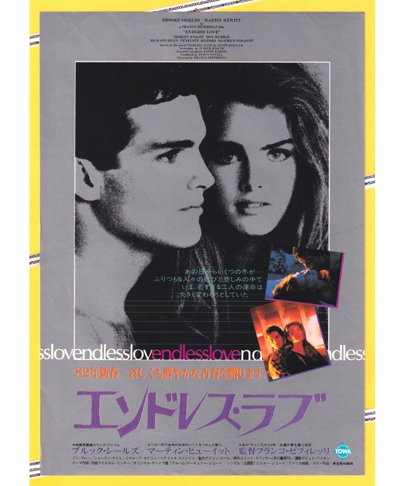 Ⓟエンドレス・ラブ | 映画チラシ・フライヤー・パンフレット販売 大辞典