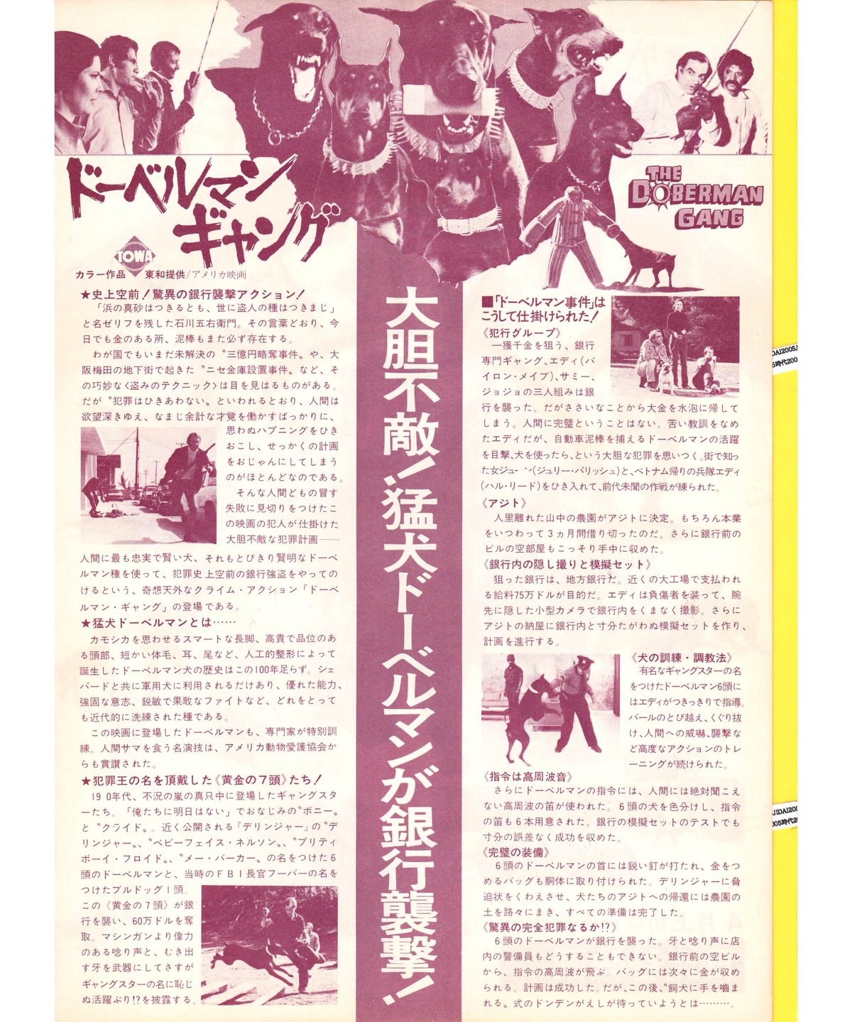 ドーベルマン・ギャング | 映画チラシ・フライヤー・パンフレット販売