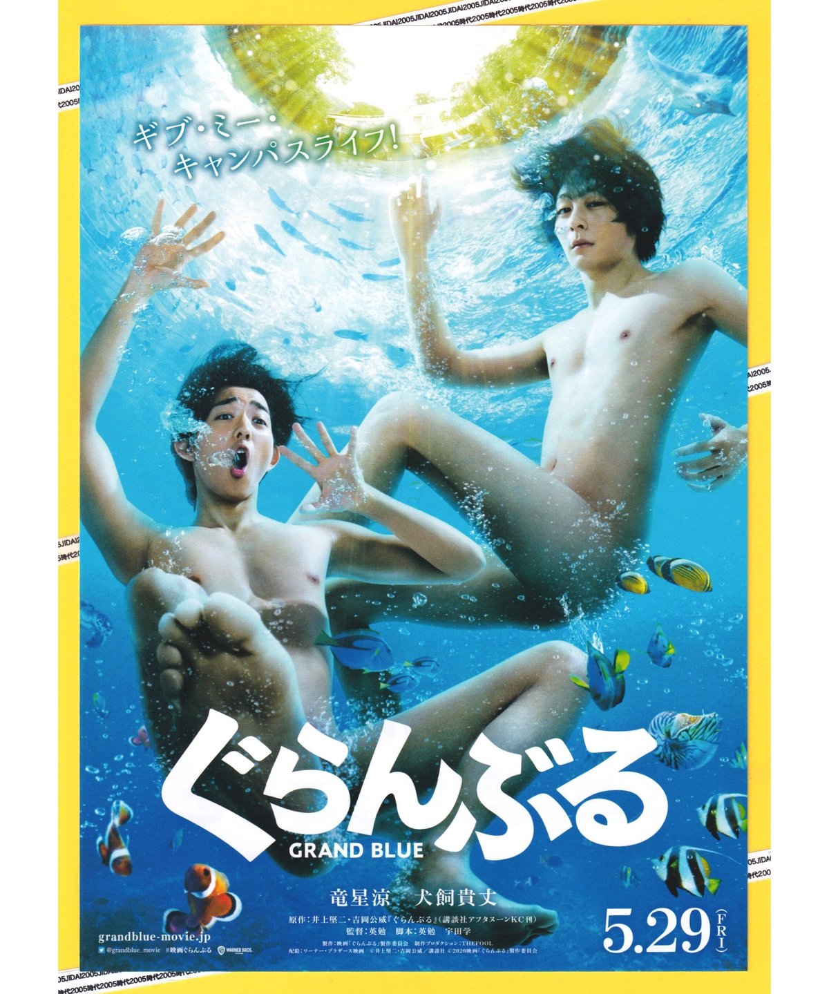 fit=scale-down,w=1200