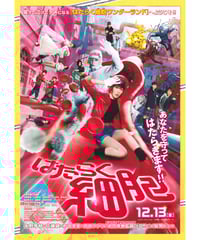 Ⓟ鉄道員〈ぽっぽや〉 | 映画チラシ・フライヤー・パンフレット販売 大辞典