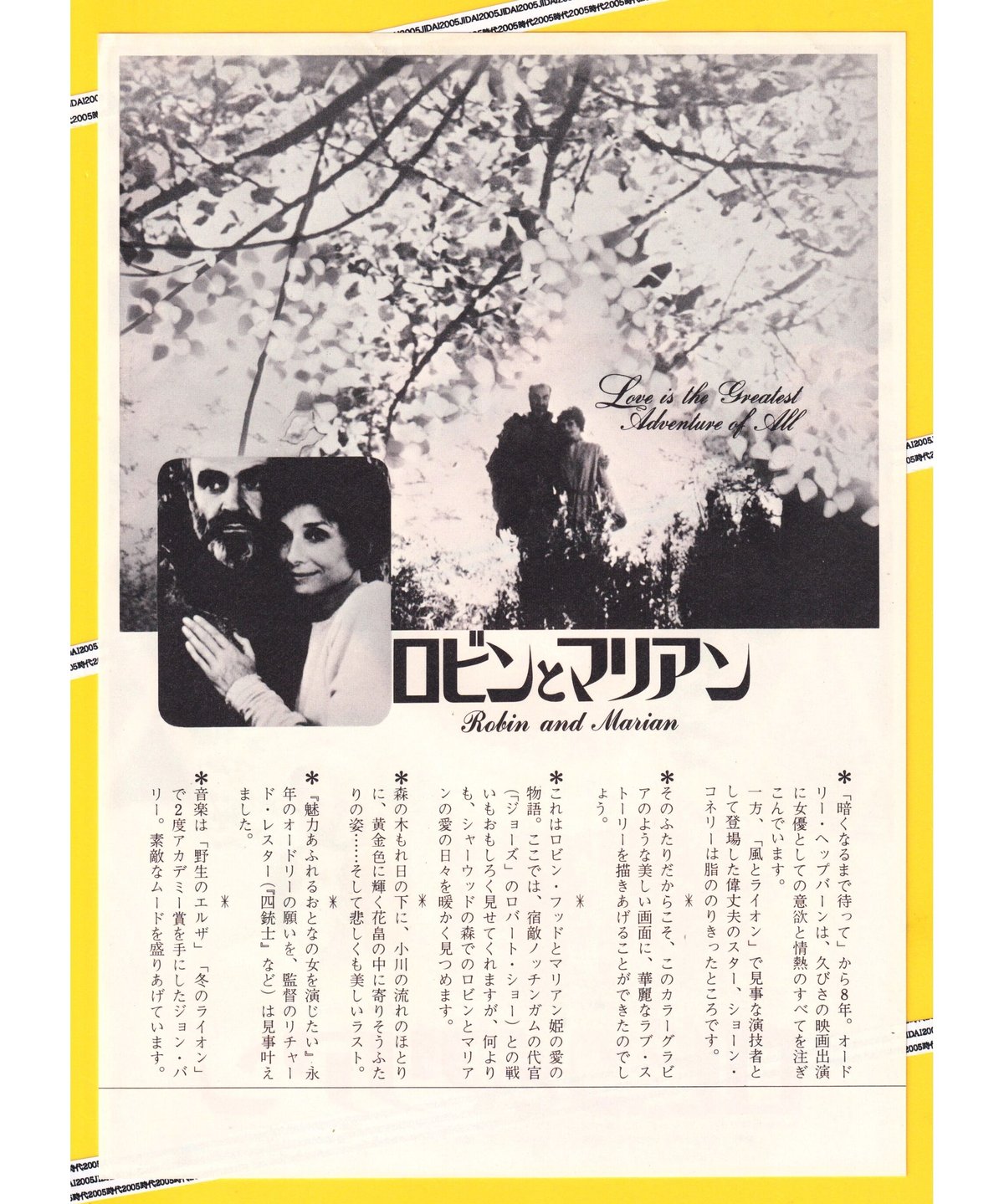 ロビンとマリアン | 映画チラシ・フライヤー・パンフレット販売 大辞典