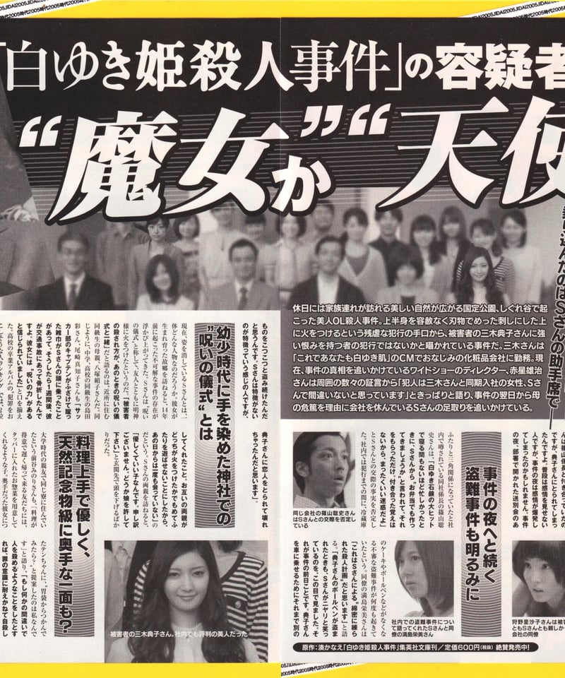 Ⓟ白ゆき姫殺人事件 | 映画チラシ・フライヤー・パンフレット販売 大辞典