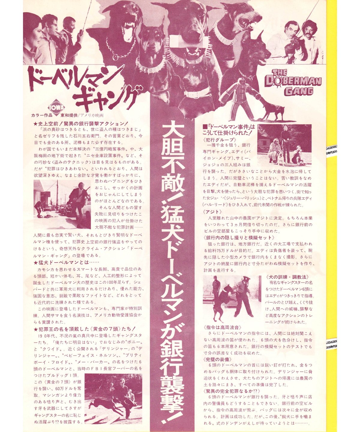 ドーベルマン・ギャング | 映画チラシ・フライヤー・パンフレット販売