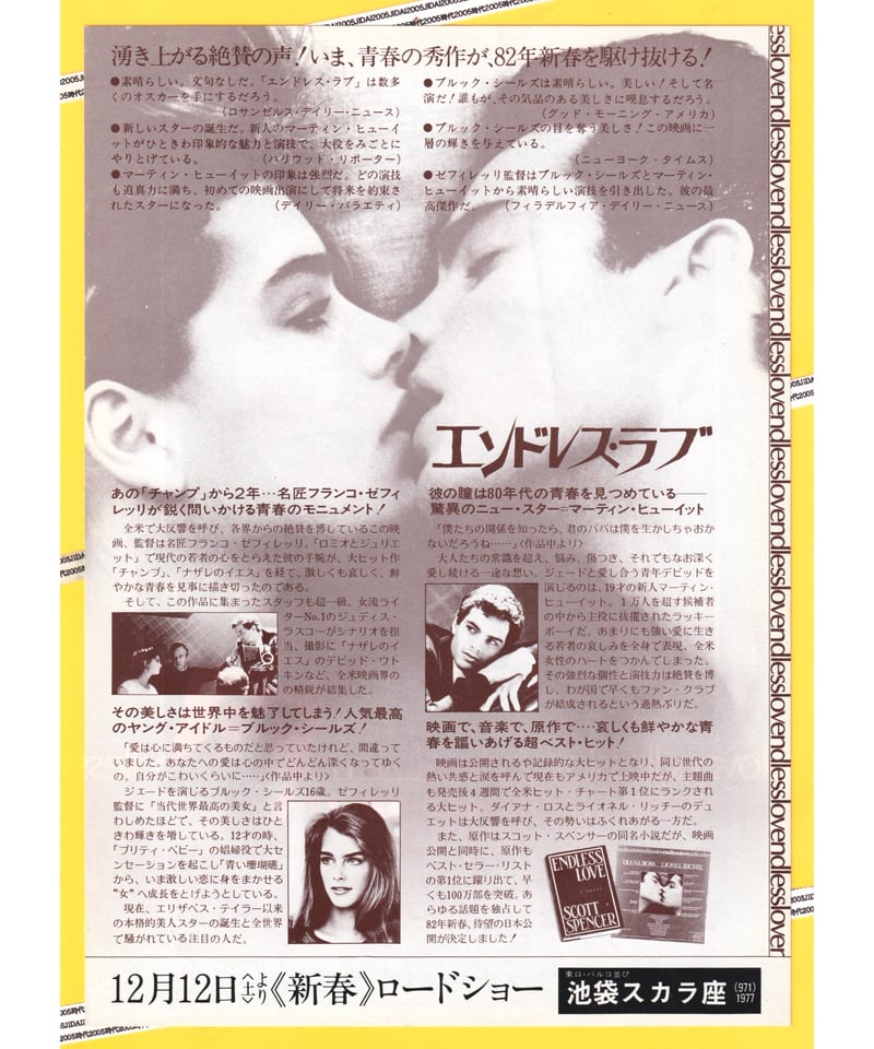 Ⓟエンドレス・ラブ | 映画チラシ・フライヤー・パンフレット販売 大辞典