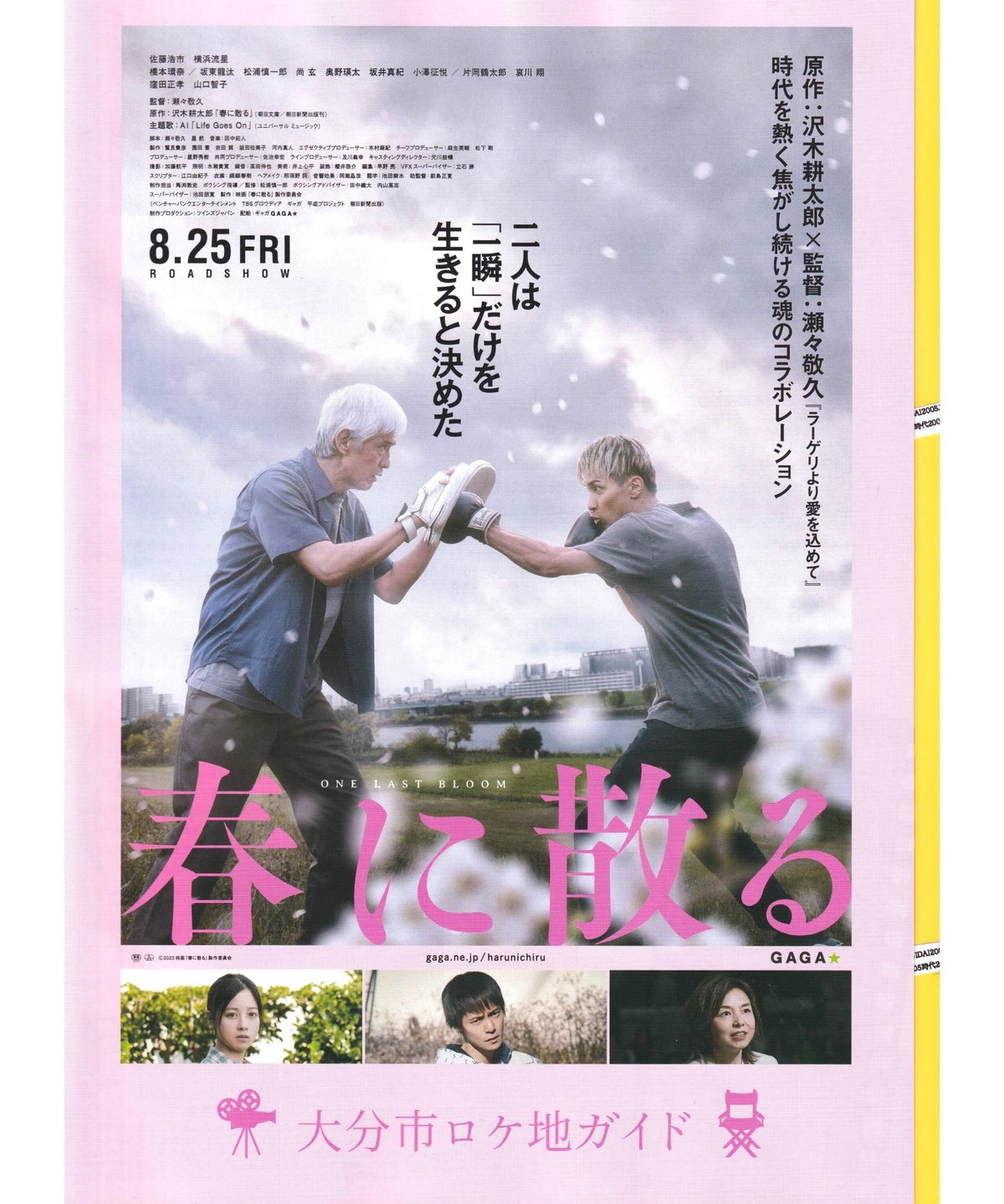 ババンババンバンバンパイア フライヤー 133枚