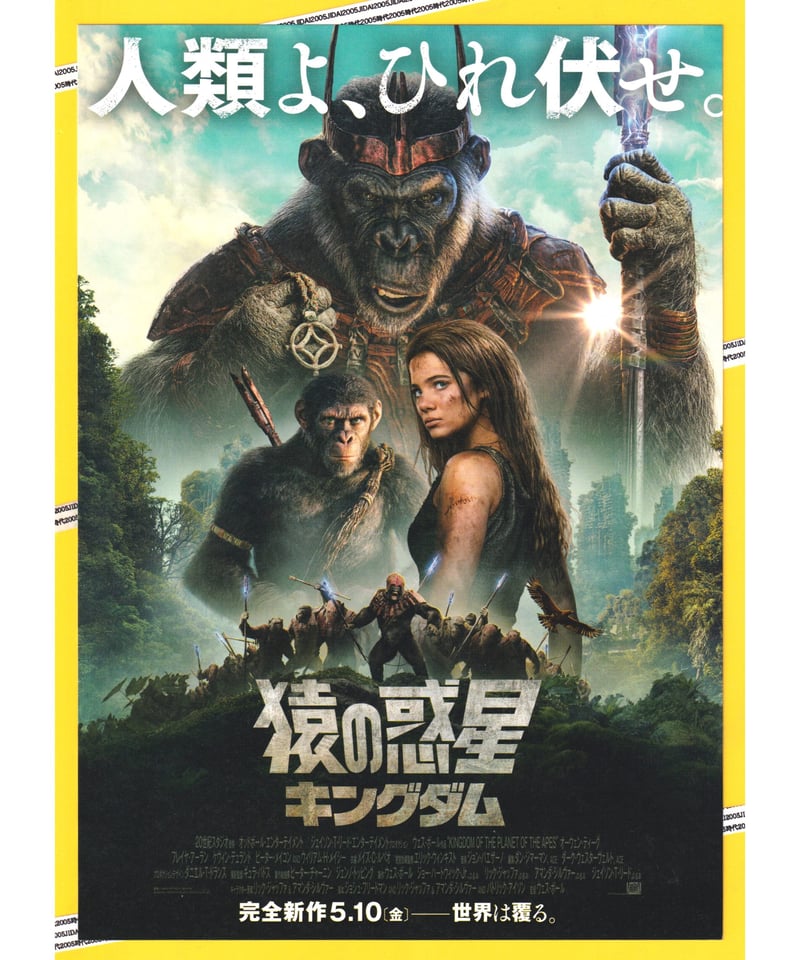 ②猿の惑星 キングダム | 映画チラシ・フライヤー・パンフレット