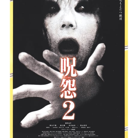 酒井法子 | STORES