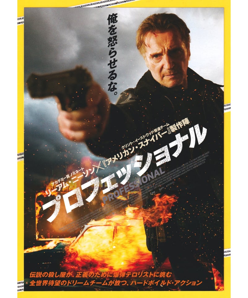 プロフェッショナル【2025年公開作品】 | 映画チラシ・フライヤー