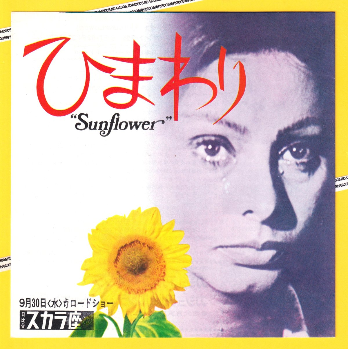 ひまわり【1970年初公開版】 | 映画チラシ・フライヤー・パンフレット