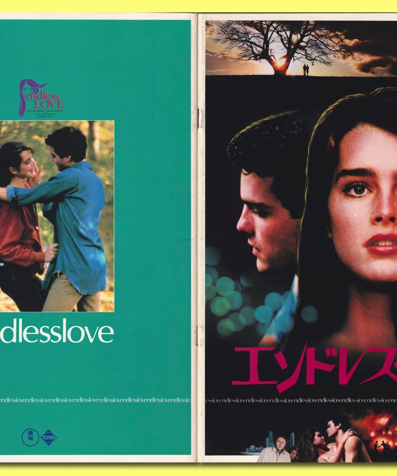 Ⓟエンドレス・ラブ | 映画チラシ・フライヤー・パンフレット販売 大辞典