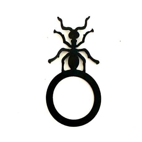 RING  ant A-041