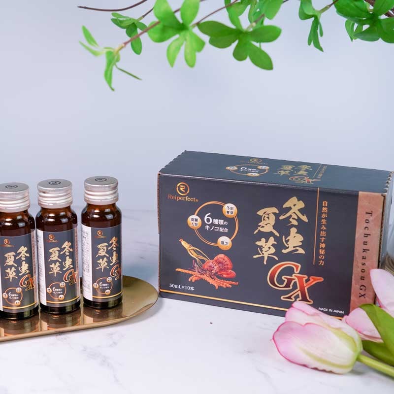 冬虫夏草GXドリンク | KuuShop