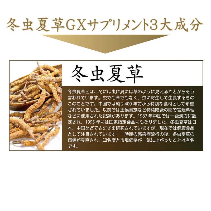 冬虫夏草 冬虫夏草GXサプリ | KuuShop