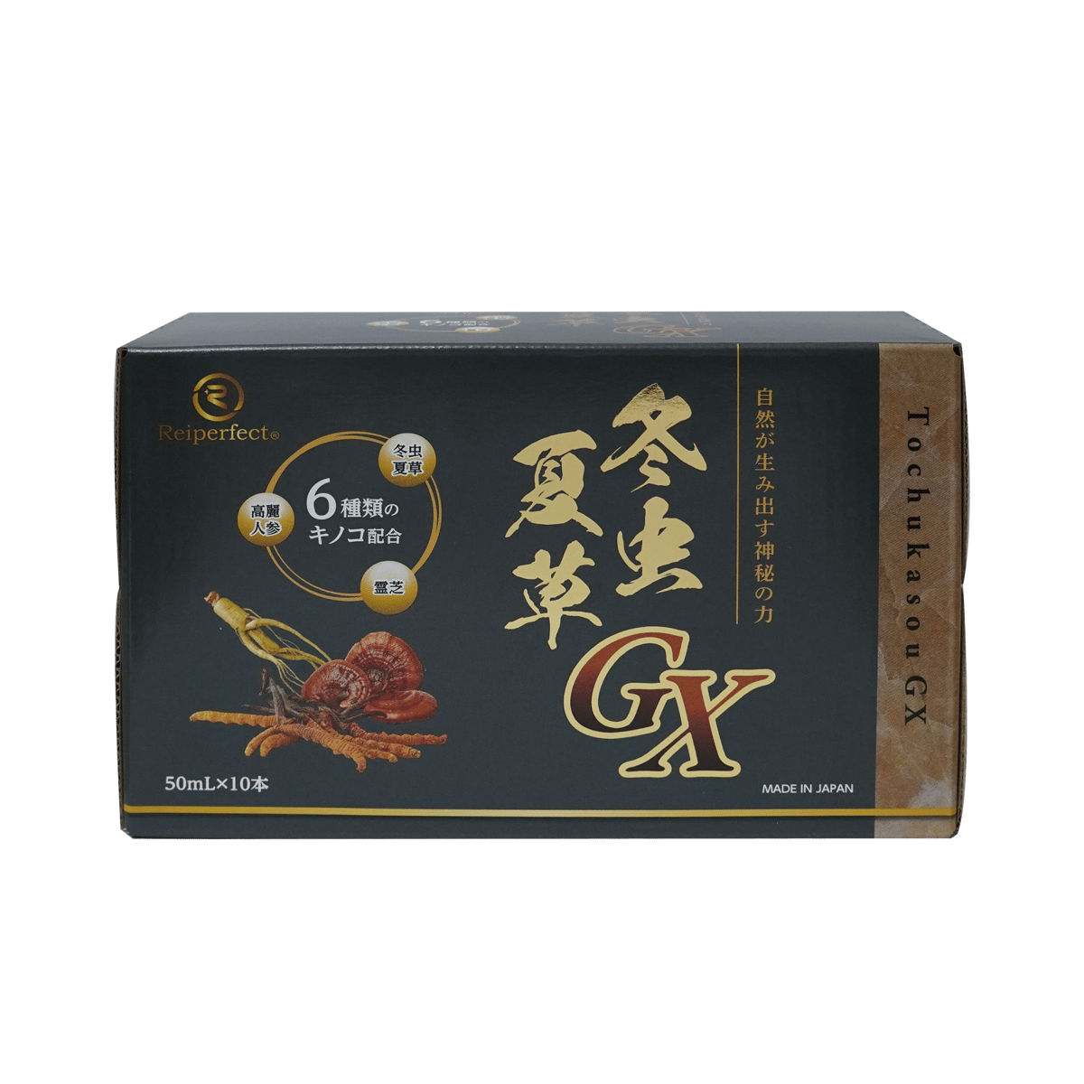 冬虫夏草GXドリンク | KuuShop