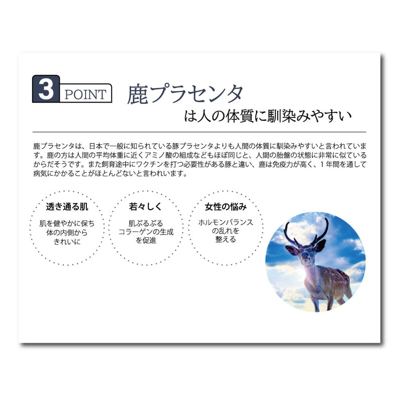 冬虫夏草 Amazon.co.jp: 冬虫夏草 (新潮文庫) : 梨木 香歩: 本