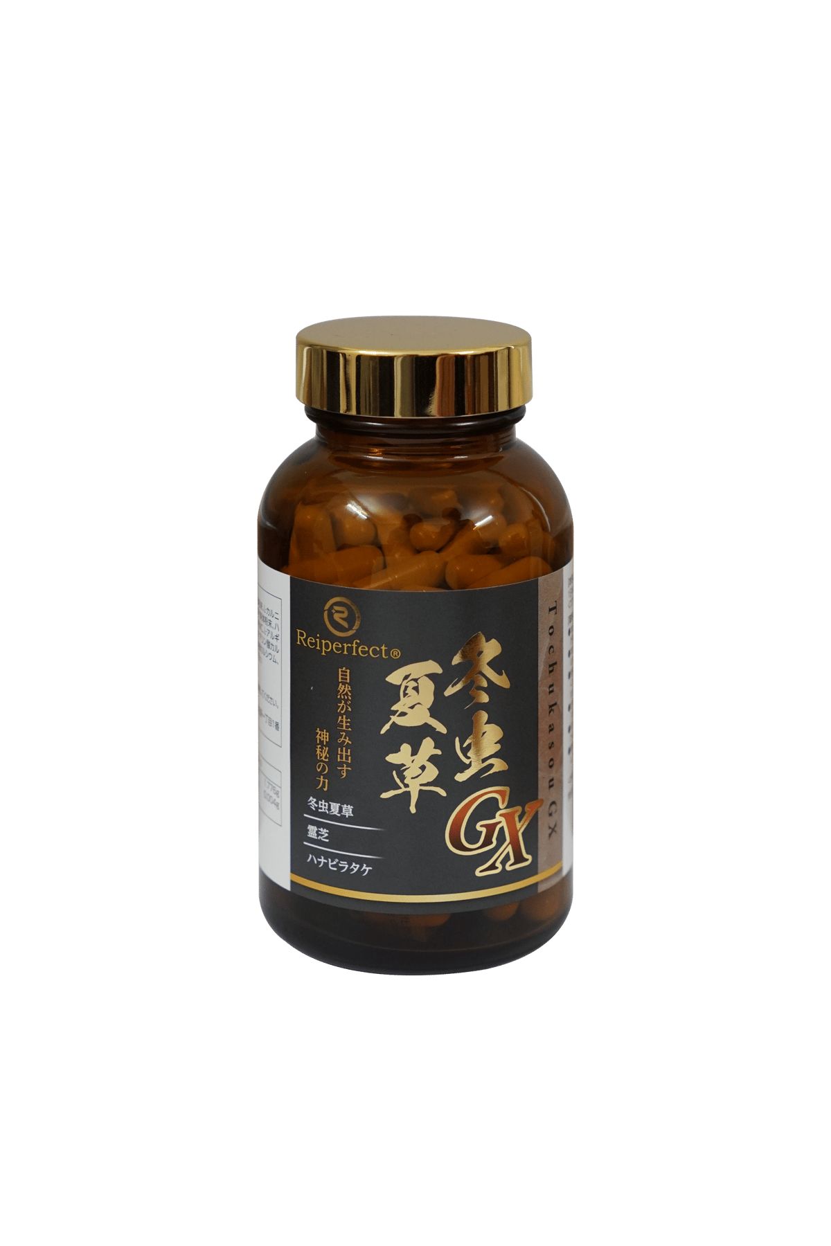 冬虫夏草GXサプリ | KuuShop
