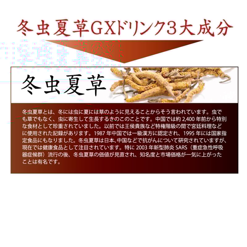 冬虫夏草GXドリンク | KuuShop 冬虫夏草GXドリンク | KuuShop