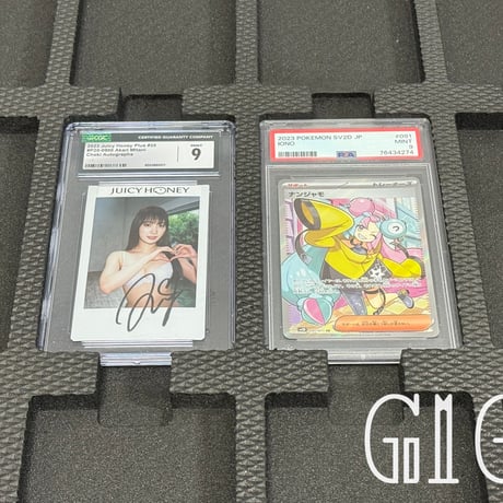 特価品「G1G1」PSA/CGC鑑定 カードケース -ブック透明型（12枚入り）