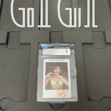 「G1G1」PSA/CGC鑑定カードケース ブック型（20枚入り）