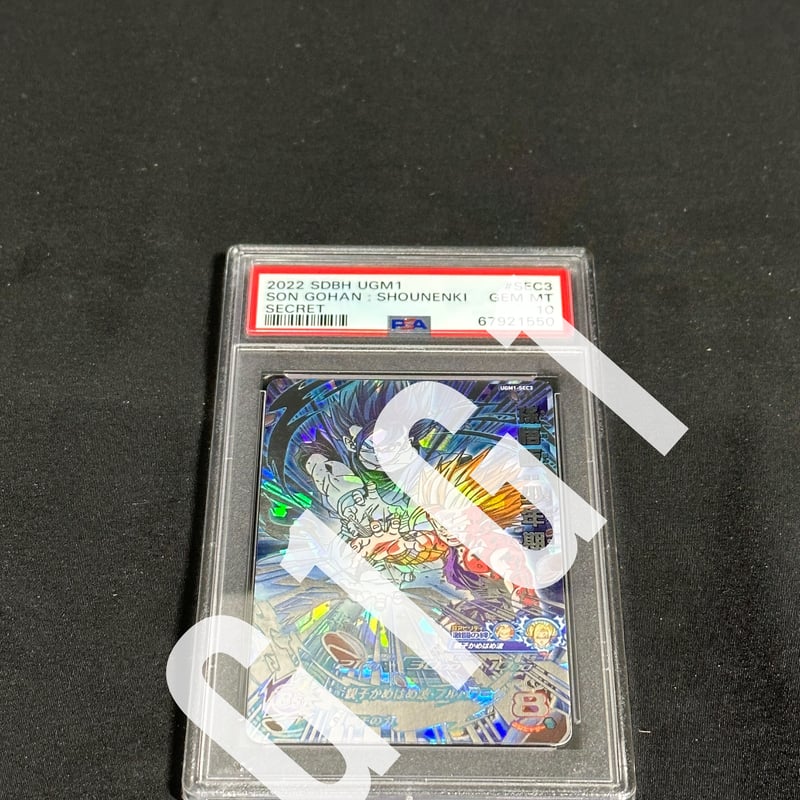 PSA/BGS鑑定品-MINT10]ドラゴンボールヒーローズ 孫悟飯2枚セット