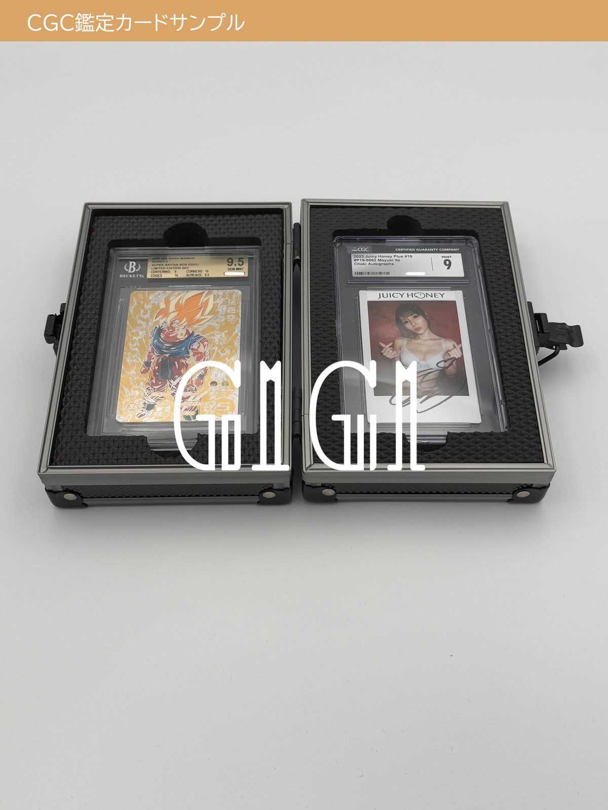 PSA10 連番 ワニノコ スターターパック PSA10 連番 ワニノコ スターターパック