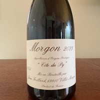 Jean FOILLARD  /  Morgon Côte du Py 2023
