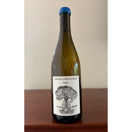 Domaine BRETAUDEAU  /  Muscadet Gaia 2023