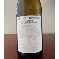Domaine BRETAUDEAU  /  Muscadet Gabbro 2023 Clos des Bouquinardières