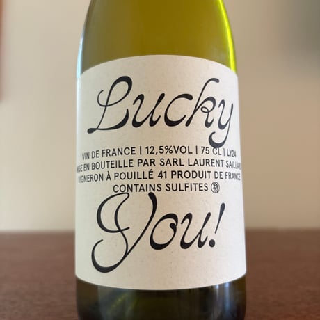 Laurent SAILLARD  /   Lucky You! 2024