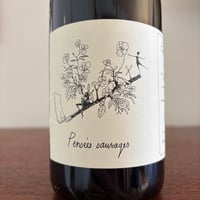 Vincent Chauvelt  /  Pensees Sauvages 2022