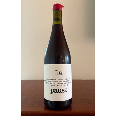 Laurent SAILLARD  /  la pause 2024