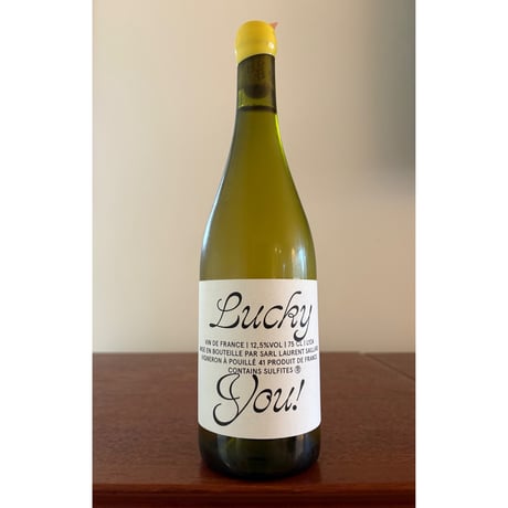 Laurent SAILLARD  /   Lucky You! 2024