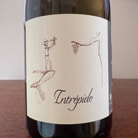 Adrien DACQUIN  /  Intrépide 2023