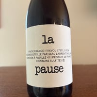 Laurent SAILLARD  /  la pause 2024