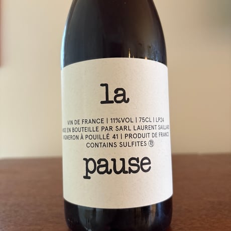 Laurent SAILLARD  /  la pause 2024