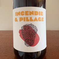 No Control  /  Incendie et Pillage 2024