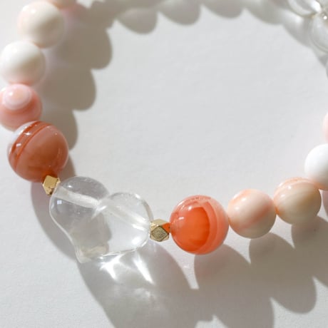 クイーンコンクシェル | STORES