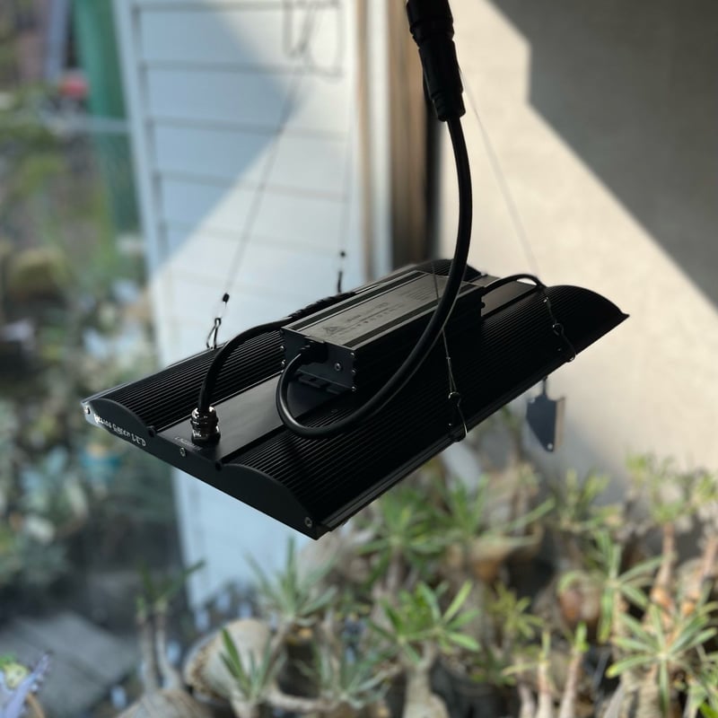 Helios Green LED PRO HGP-101 | 塊祭